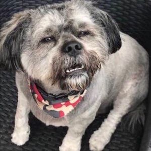 Meet your Posher, Justin